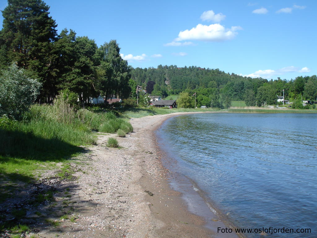 Bergerbukta badeplass Svelvik