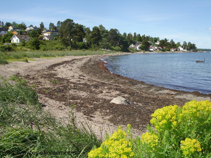 Feskjær badeplass - strand mot øst.