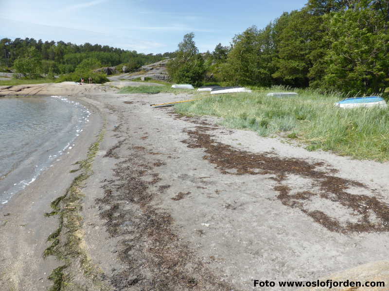 Flautangen badeplass Sandefjord