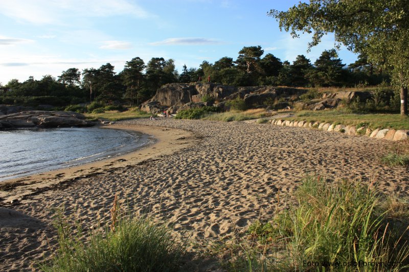 Gonsbukta badeplass