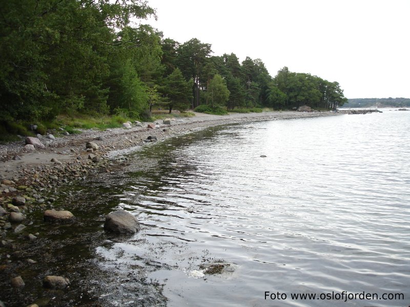 Grubesand badeplass Sandefjord friomrde