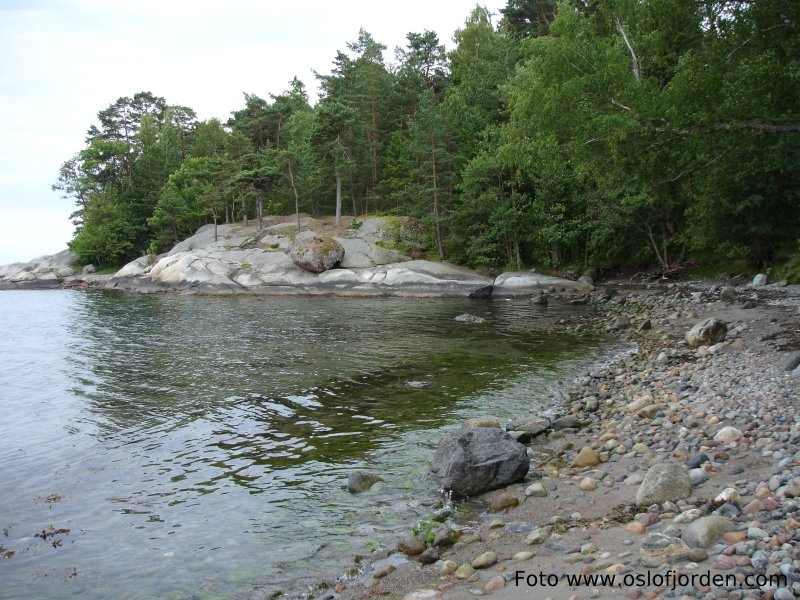 Grubesand badeplass Sandefjord friomrde