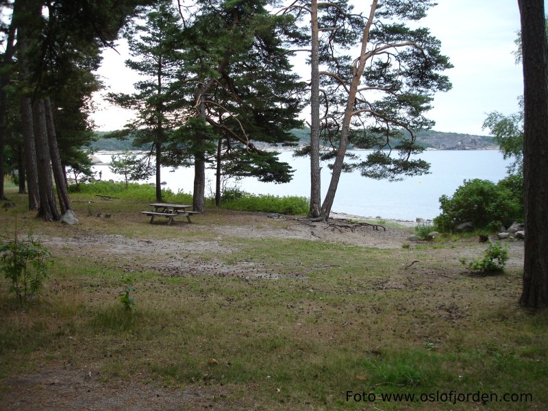 Grubesand badeplass Sandefjord friomrde