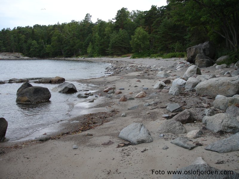 Grubesand badeplass Sandefjord friomrde