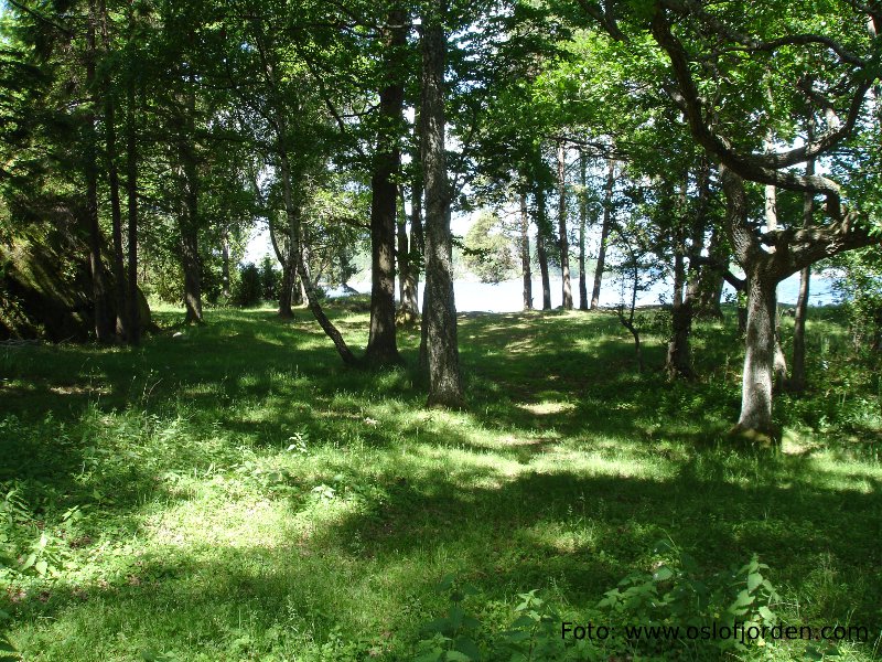 Kjølholmen badeplass  Veierland - teltplass