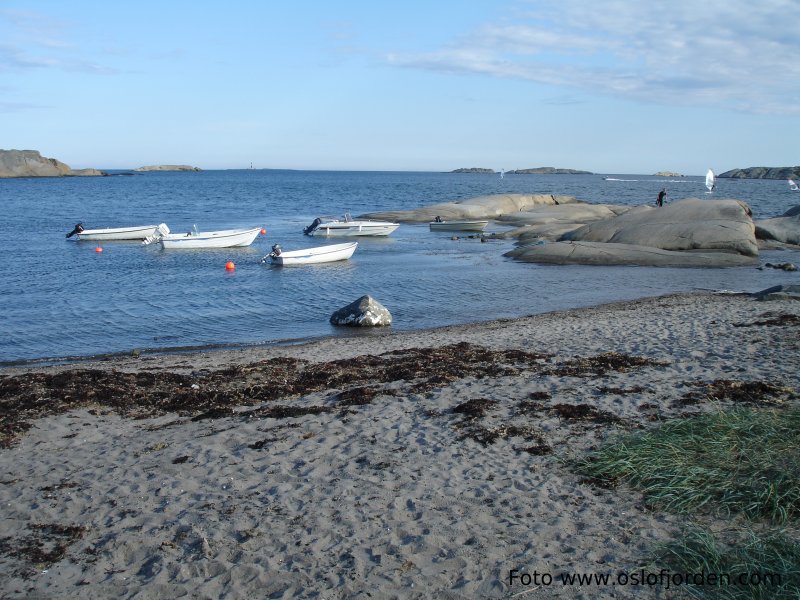 Sandstrand krøkle