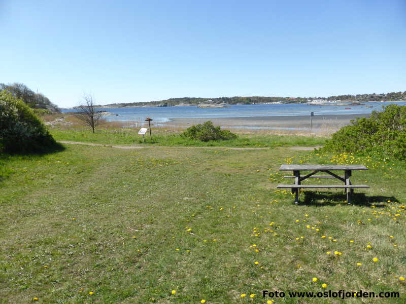 Nalumstranda badeplass Larvik