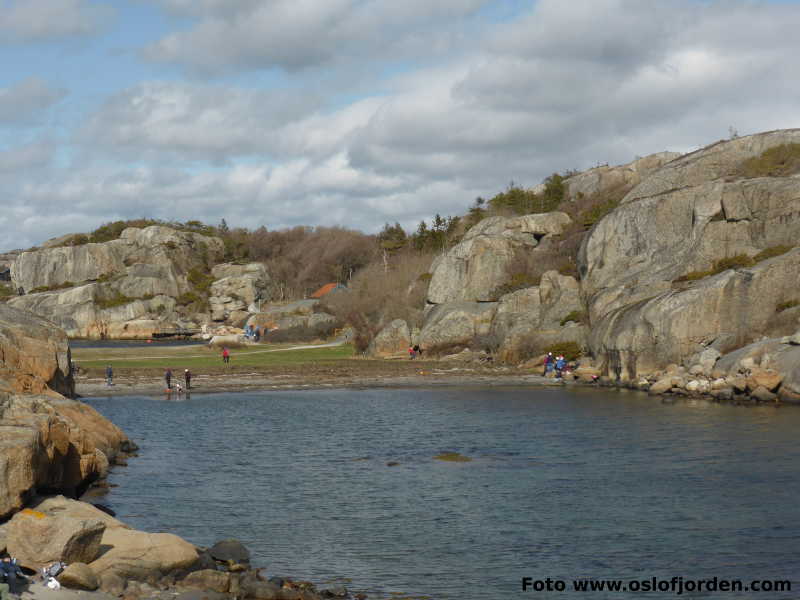 Ølbergholmen badeplass friområde  Larvik