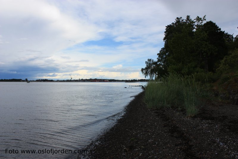 Indre Havn sett fra Reverompa