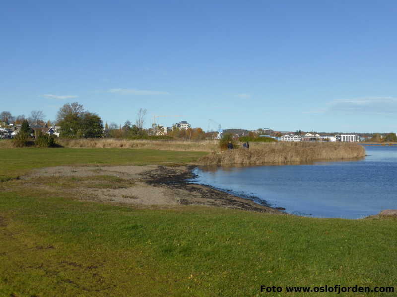 Rosanes badeplass Nøtterøy