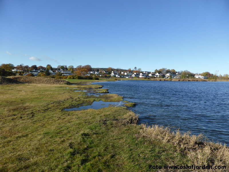 Rosanes badeplass Nøtterøy