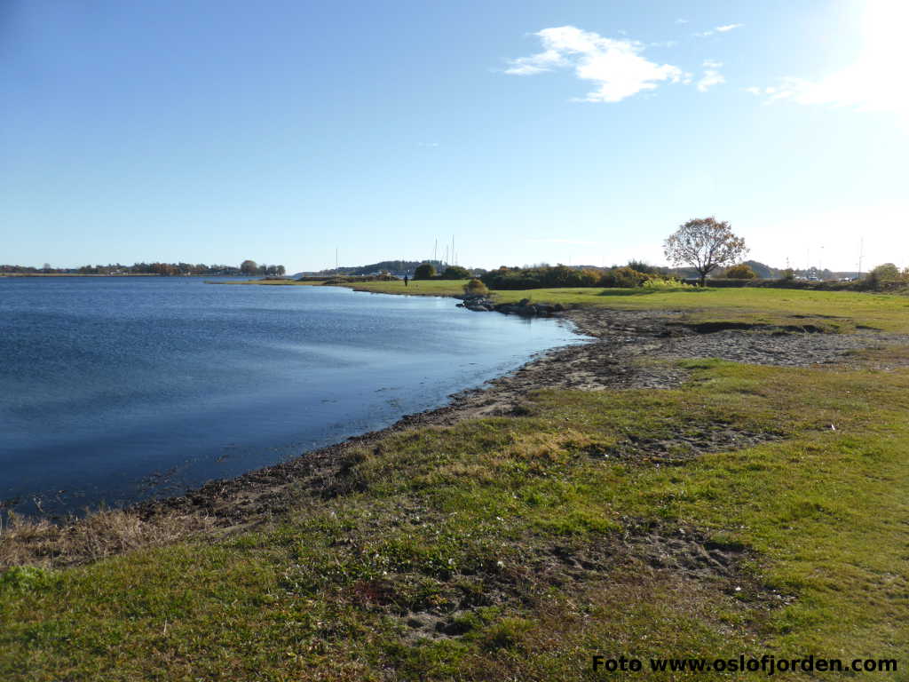 Rosanes badeplass Nøtterøy