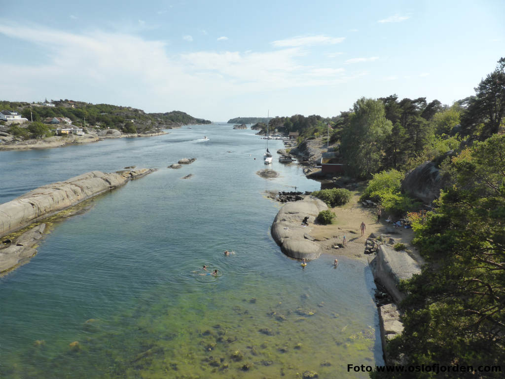 Sjøløver badeplass Tjme