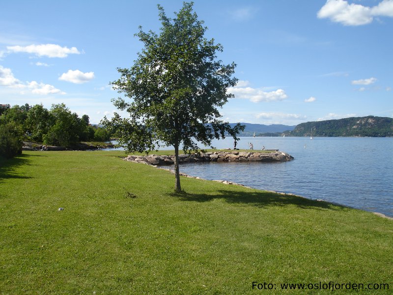 Tangen Fjordpark Badeplass