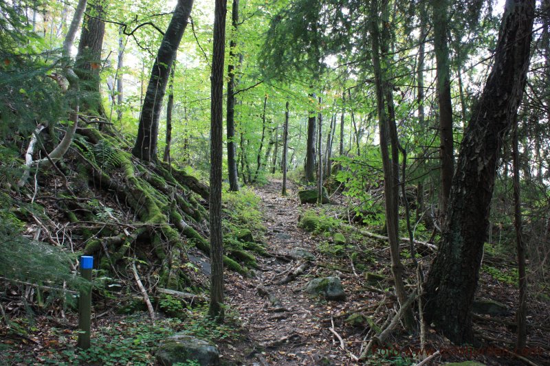 Kyststi Nøtterø Tenvik