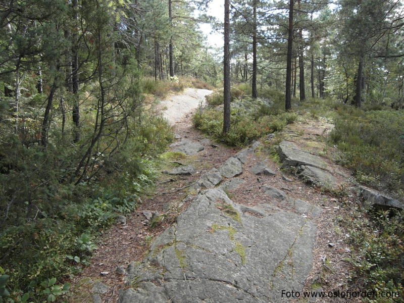 Krokstrand kyststi Vestby