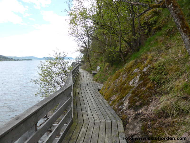 Rundtur Helgeåsen Fagervika kyststi Hyggen