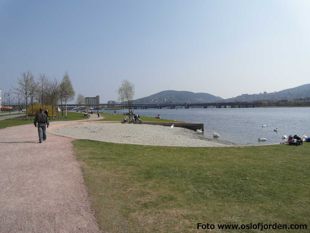 Turvei Bragernes strand Drammenselva Drammen