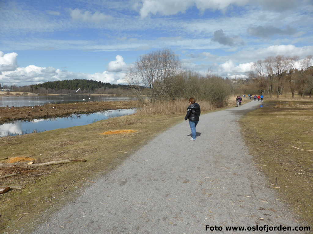 Østensjøvannet turvei Oslo