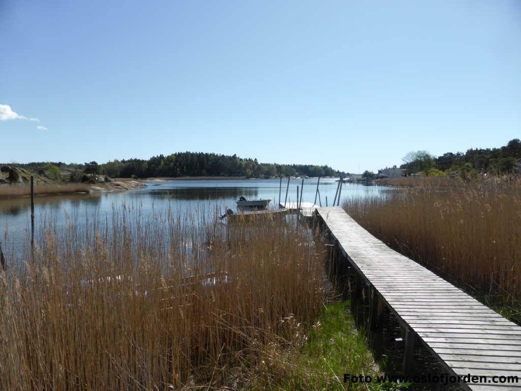 Kyststi Kråkerøy Fredrikstad Bjørnevågkilen