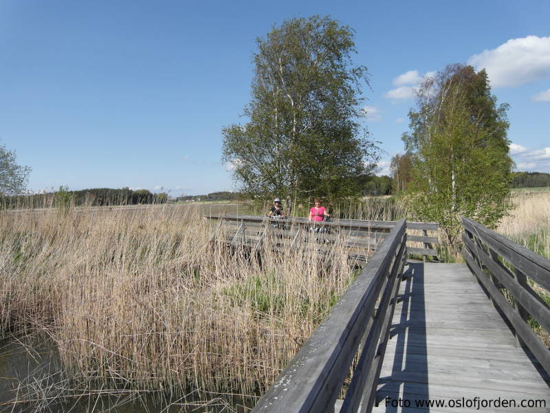 Kyststi på grensa mellom Rygge og Råde