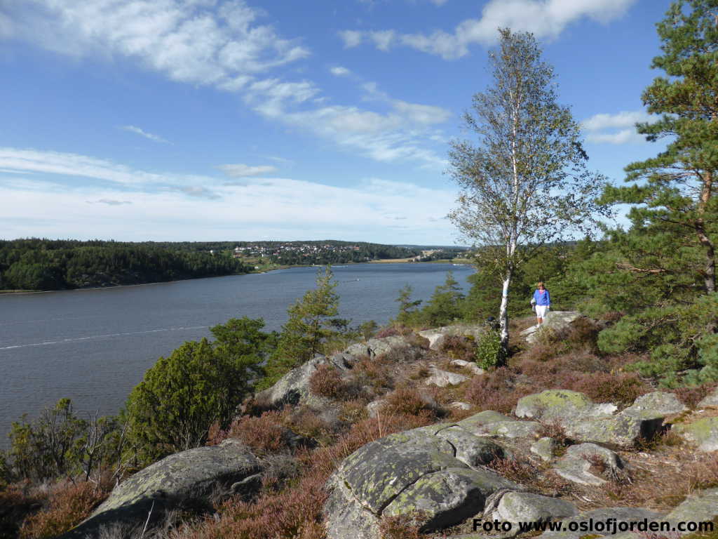 Talbergåsen Kyststi Hunnebunn Sarpsborg