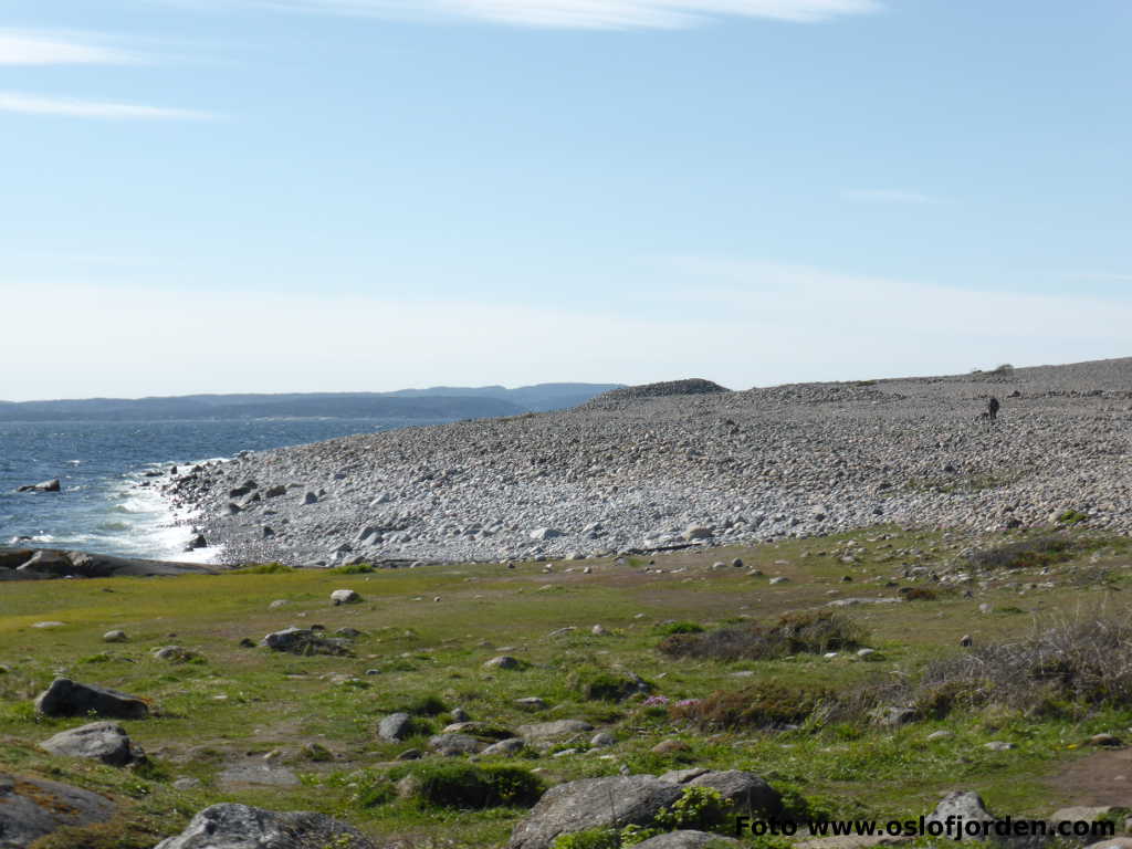 Brunlanes Mølen kyststi Larvik