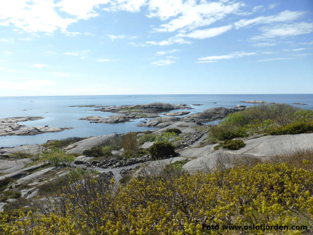 Brunlanes kyststi Rakke fort Larvik