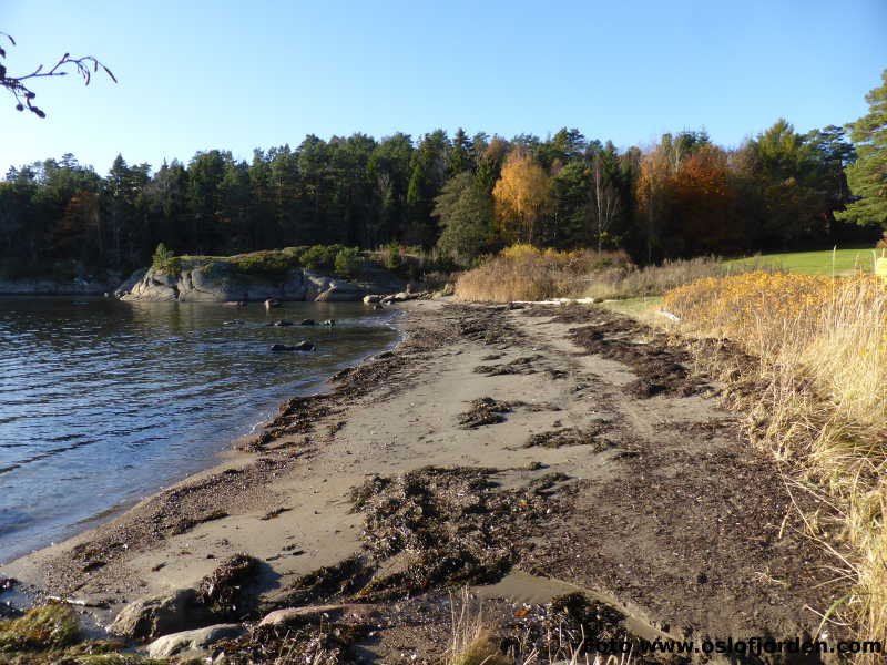 kyststi Frenvik Larvik tur