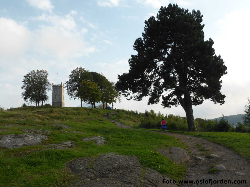 Grevestien Slottsfjellet Tønsberg tur ut