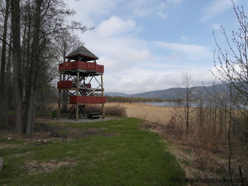 Grunnane naturreservat kyststi Svelvik