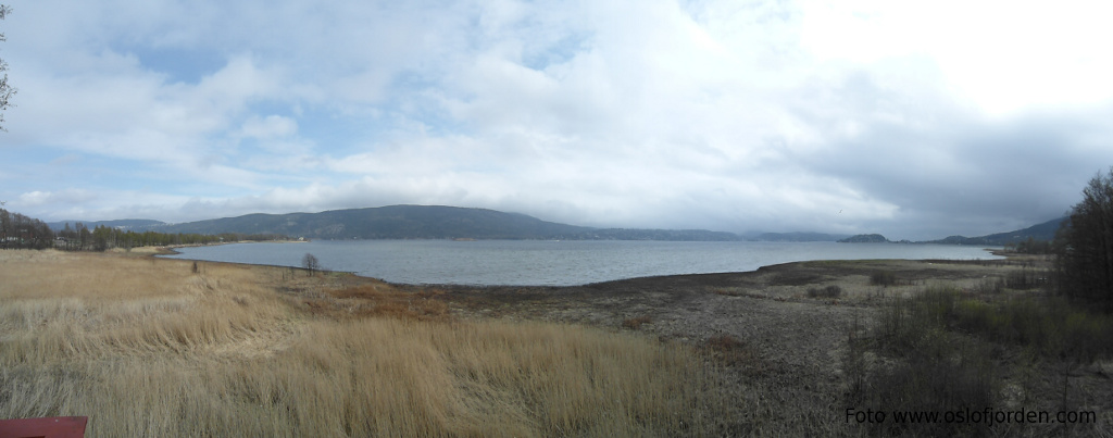 Grunnane naturreservat kyststi Svelvik