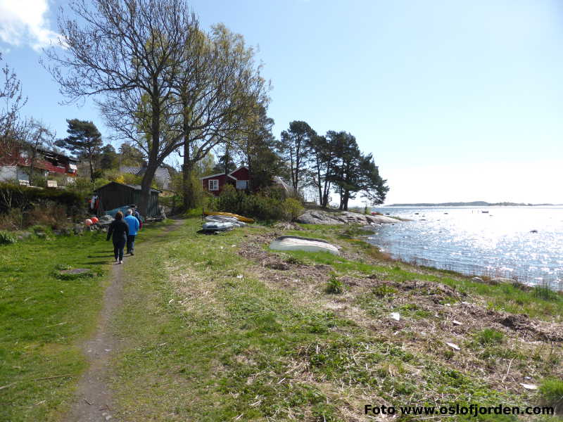 Kyststi Husøy rundt tur Tønsberg