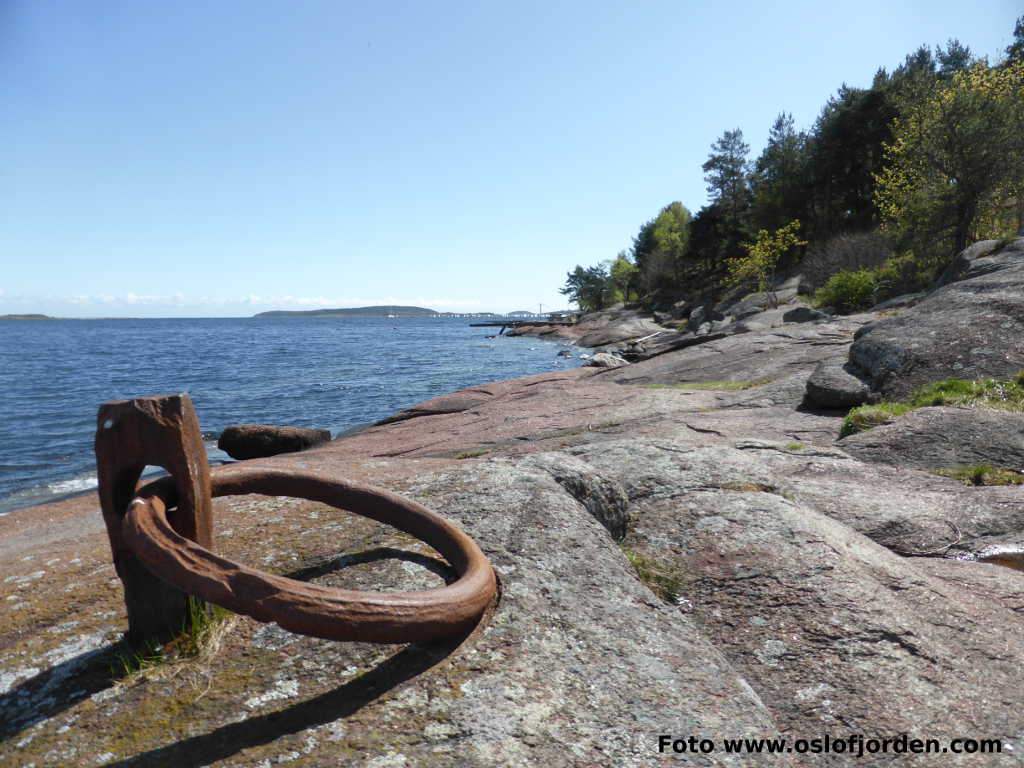 Kyststi Husøy rundt tur Tønsberg