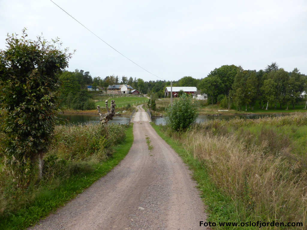 Langy Sandefjord