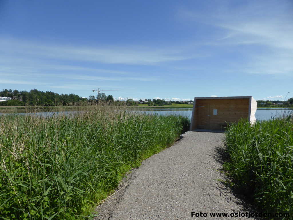 Presterødkilen naturresrvat fugleobservatorie Tønsberg