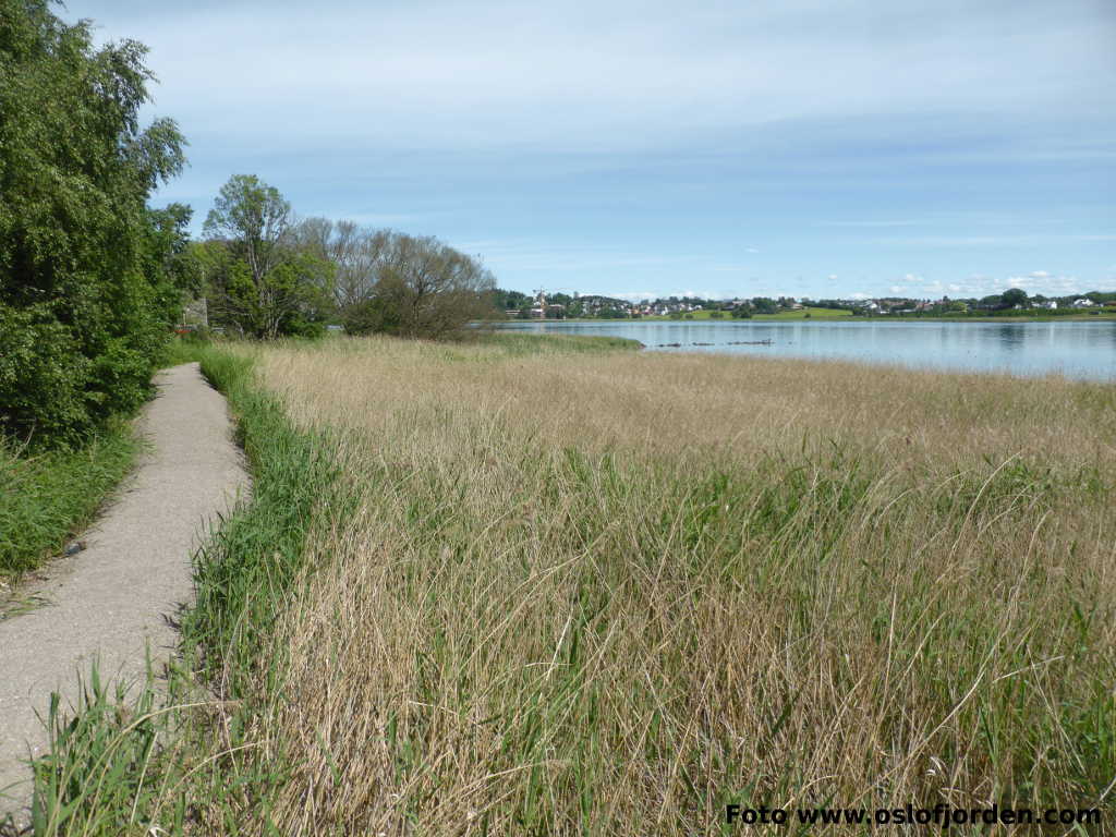 Presterødkilen naturresrvat turvei Tønsberg