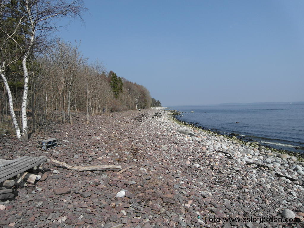 Rullesteiner Essoskogen kyststi