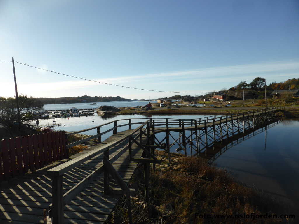 Kyststi Kaupangholmen Viksfjord Larvik