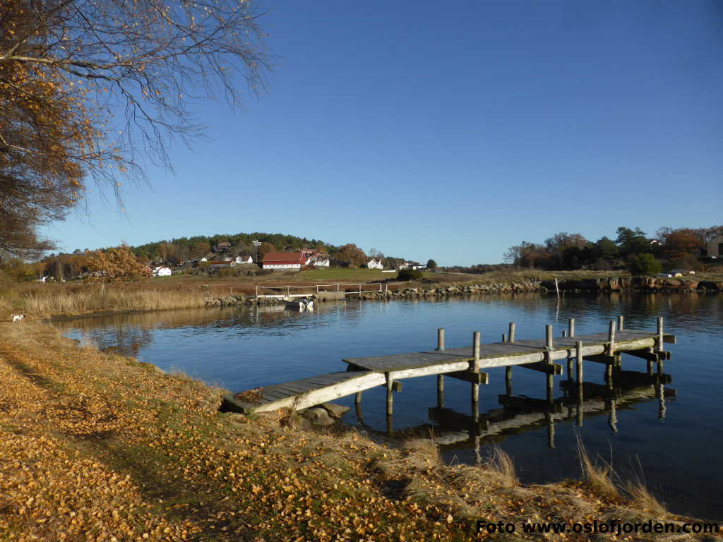 Kyststi Drengskilen Viksfjord Larvik