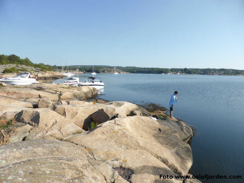 Geitøya uthavn naturhanv Fredrikstad Østfold Oslofjorden