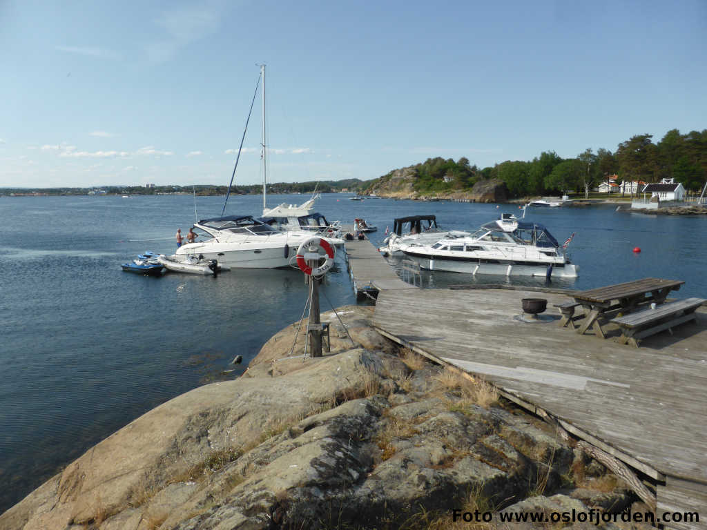 Buerya uthavn naturhavn teltplass Sandefjordsfjorden