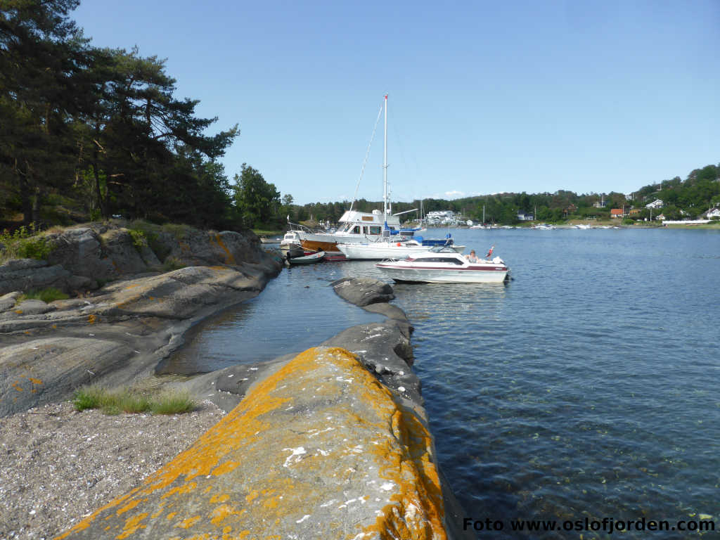 Buerya uthavn naturhavn  Sandefjordsfjorden