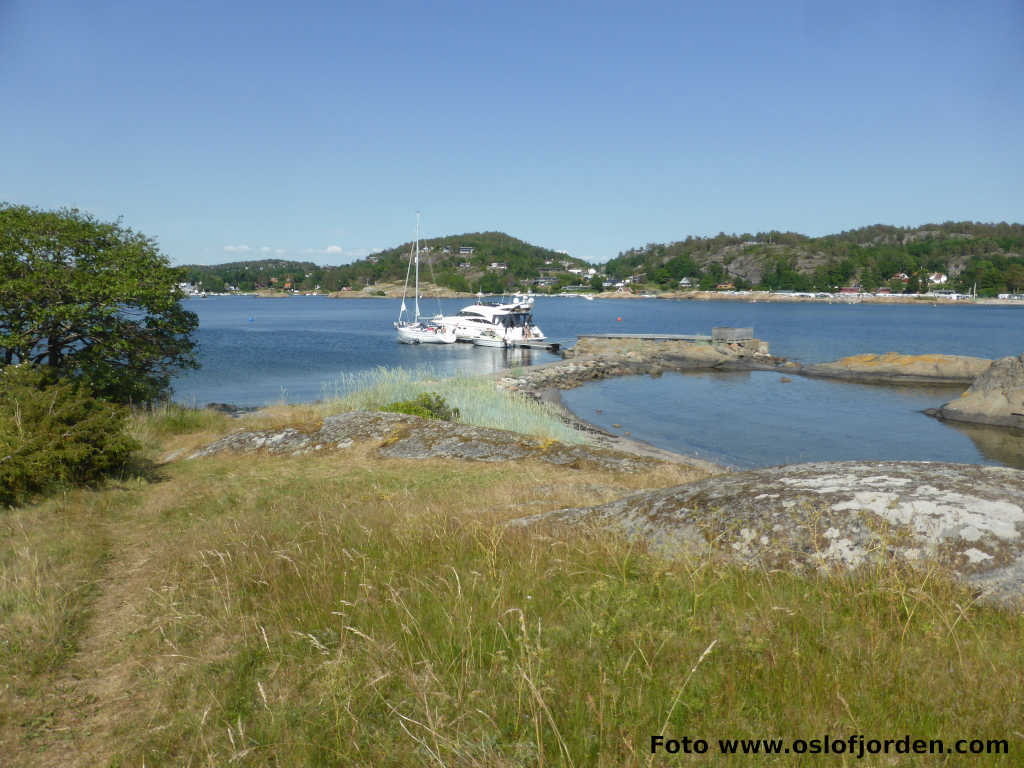Hellesya uthavn naturhavn teltplass Sandefjordsfjorden