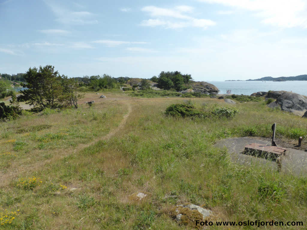 Hellesya uthavn naturhavn teltplass Sandefjordsfjorden