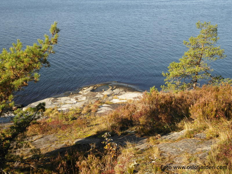Mjølsekken badeplass