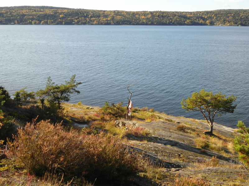 Mjølsekken badeplass