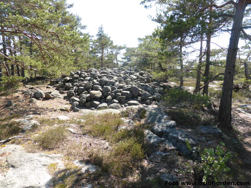 Lunderamsa bronsealderen kyststi Kråkerøy Fredrikstad