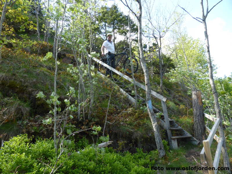 Fjordstien Larvik kyststi